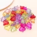Pendentifs transparents en acrylique cœur et ours aux couleurs mélangées pour bijoux DIY. - 50 Pièces (19x18mm)