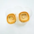 Vergoldete geometrische Ohrstecker mit feiner Struktur schlichtes modernes elegantes Schmuck Design. - Ohrstecker (Leere Fassung Stil) / Gold