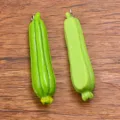 DIY resin vegetable charm pendant green zucchini style craft jewelry making accessories - 1 Piece (13x54mm)