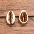 Acrylic simulation cowrie shell beads DIY bracelet jewelry making accessories style 24 - Style 1 Cowrie Seashell / 1 Piece (8x13mm)