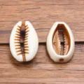 Acrylic cowrie shell beads for DIY bracelet jewelry making, white and brown craft charms. - Style 4 Simulation Seashell / 1 Piece (12x19mm)