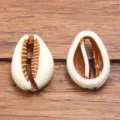 Acrylic imitation cowrie shell charms DIY jewelry making beads sea ocean style accessories. - Style 12 Simulation Conch Seashell (10C13/34) / 1 Piece (15x22mm)