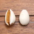 Acrylic simulated cowrie shell beads for DIY jewelry making, white ocean series. - Simulation Conch (No. 18) / 1 Piece/Pack (13x20mm) / Pure White