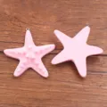 Ciondolo charm in resina a forma di stella marina rosa per accessori borsa telefono stile carino. - Stile Grande (26K14) / Rosa