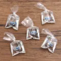 DIY transparante hars goudvis in zakje hanger sieraden accessoire set 6 stuks - Picasso Trekkervis Vloeistofzak Nr. 3 / 1 Stuk / Multicolor Gemengd