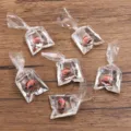 DIY transparante hars goudvis clownvis zak hanger sieraden accessoires kleurrijke set - Oranje Koivis Vloeistofzak Nr. 4 / 1 Stuk / Oranje Witte Clownvis