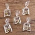 Mini transparante hars vis in zak DIY hanger charm sieraden accessoires knutselen leuk - Blauwe Goudvis