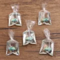 Hars goudvis in zak hanger bedel, doorzichtige waterzak DIY sieraden accessoire variant. - Transparante Blauwe Vis
