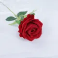 Single stem red velvet artificial rose for home decor, height 50cm, head diameter 7cm - 7cm Rose / Red