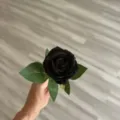 Fiore di rosa artificiale in velluto nero singolo per decorazione di nozze e casa design. - Nero