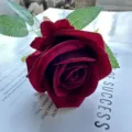 Rosa rossa in velluto artificiale a stelo singolo per decorazioni domestiche e composizioni nuziali. - Rosa piccola singola (Rosso vino)