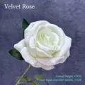 Elegant white artificial velvet rose stem for realistic wedding and home decor - Velvet Rose / 11cm / Cream