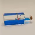 Flüssigkeitsspielzeug mit blauer Welle und Delfinen als kreative Tischdekoration. - Viereckige Flasche Delphin