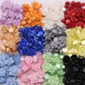 Mixed acrylic resin rose cabochons and bow charms flatback DIY jewelry accessories details. - 30g Pack / Multicolor