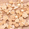 Assorted resin rose flatback cabochons mixed craft accessories for DIY phone cases and jewelry. - 30g Pack / Tan