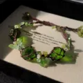 Handmade macrame green crystal flower bracelet, exquisite woven net pocket gift for women. - Withered Wood in Spring Rope Bracelet (1 Piece)