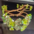Handcrafted macrame crystal flower woven bracelet green stone boho chic friendship gift - "Greenery" Hand Cord (1 Piece)