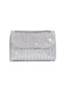 Glänzende Strass Abendtasche Detailansicht mit funkelnden Kristallen und schickem Metallkettenriemen. - 20x5.5x13cm / Silber