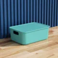 Dragon blood green small plastic storage box with lid, desktop sundry organizer 5L - Small With Cover / Green
