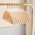 Plastic non-slip clothes hangers seamless curved shoulder coat hanger in apricot color - 1 Piece / Charm Apricot