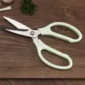 Forbici da cucina multifunzione con manico verde chiaro, cesoia in acciaio inox. - Forbici con manico in plastica / Verde