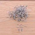 Stainless steel earring hooks DIY jewelry findings bulk pack round spring silver ear wires - Style 1 Steel Color Ear Hook (1号钢色)