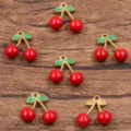 Edelstahl Kirsch Anhänger Emaille Rote Frucht Charms Gold DIY Schmuckherstellung Variante - 樱桃(9号) / 15x15mm