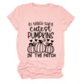 Casual women round neck short sleeve t-shirt featuring cute pumpkin teacher graphic. - S / Tops / Pink (Black Print)