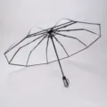 Ombrello automatico trasparente con 10 stecche e ampia cupola rinforzata per la protezione. - Ombrello automatico a 10 stecche nero