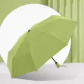 8-rib automatic folding sun umbrella with black vinyl coating for UV protection and rain. - Matcha Green