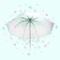 Transparent folding umbrella with cherry blossom pattern and mint green trim for rainy days. - Green