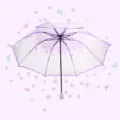 Transparent folding umbrella with purple cherry blossom design, elegant rain gear for women. - Purple