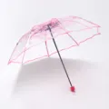 Clear Pink Cherry Blossom Transparent Folding Umbrella Sun Rain Umbrella Compact Design - 53.5cm x 8K / Romantic Cherry Blossom Pink