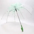 Ombrello lungo trasparente con stampa di fiori di ciliegio verdi, elegante ombrello da pioggia. - 53.5 / Verde