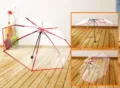 Transparent POE folding umbrella with red border, waterproof rain and sun umbrella for adults. - 100cm x 8K / Red