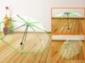 Transparent folding umbrella with fluorescent green trim, POE material rain umbrella for adults. - 100cm x 8K / Green