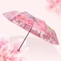 Ombrello pieghevole trasparente con fiori di ciliegio, stile giapponese per studenti. - Rosa