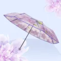 Ombrello pieghevole trasparente con bellissimo motivo floreale di ciliegio per giorni di pioggia. - Viola