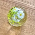 Handmade resin stress ball variant, clear sphere with white daisy flowers and green leaves. - Spring Daisy / Regular / Clear
