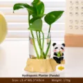 Cute Panda Fishing Hydroponic Vase Glass Plant Terrarium Living Room Desktop Decor Ornament - Panda Style