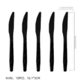 10 Stk schwarze Plastik Einwegmesser Party Besteck Küche Werkzeuge 16x3cm Set - Schwarzes Kunststoffmesser (10 Stück)