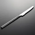 Close up detail of stainless steel steak knife handle with elegant hammered texture. - Dinner Knife