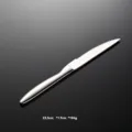 Stainless steel steak knife with serrated edge, professional brushed kitchen dining tool. - Steak Knife Only