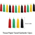 Tissue paper tassel garlands banner set, 35cm Juneteenth party hanging decoration supplies. - Tassel Garlands Decoration (Juneteenth)