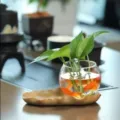 Jarrón de pecera de cristal de escritorio con plantas y base de hoja creativa. - Jarrón hidropónico de arcilla púrpura grande