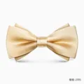 Farfallino doppio strato oro champagne da uomo matrimonio abito formale elegante cravatta - Champagne Oro Raso (2705)
