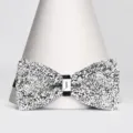 Farfallina in strass argento per bambini ragazzi cravatta scintillante performance festa - Farfallino Classico (S230) / Bianco Argento