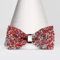 Farfallina con strass scintillanti per bambini ragazzo spettacolo festa matrimonio accessorio moda - Farfallino Classico (S233) / Rosso rubino