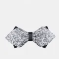 Farfallina in strass argentata da uomo, elegante cravattina scintillante da sposo. - Argento Elegante