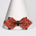 Lucido Papillon con Strass per Bambini Ragazzi Spettacolo Festa Accessori di Abbigliamento - Farfallino Appuntito (S333)